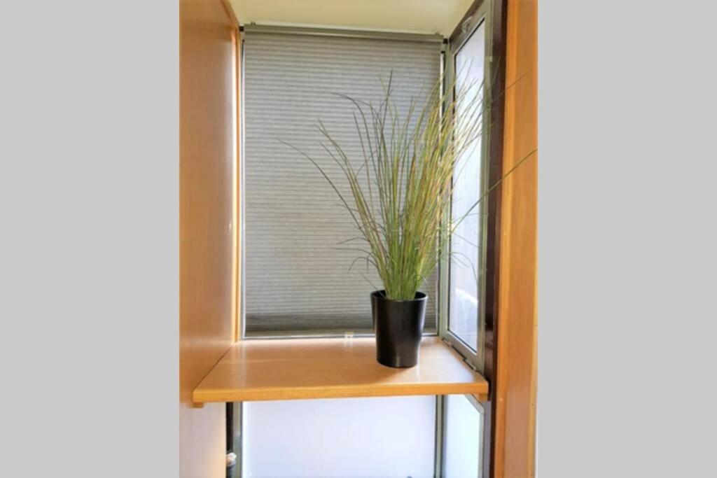Boat House Apartment Trieste Bagian luar foto